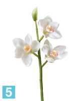 Искусственный цветок для декора Орхидея Цимбидиум ветвь белая малая TREEZ Collection в #REGION_NAME_DECLINE_PP#