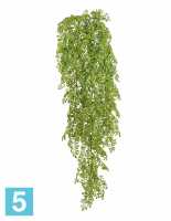 Рута Гравеоленс светло-зелёная куст ампельный искусственный TREEZ Collection 65h