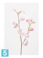 Искусственный цветок для декора Латурус 50h розовый (2 ветки + горошек) в #REGION_NAME_DECLINE_PP#