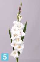 Искусственный цветок для декора Гладиолус 102h белый (9 цветков + 4 бутона + 2 листа) в #REGION_NAME_DECLINE_PP#