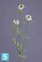 Искусственный цветок для декора Нигелла белая TREEZ Collection в #REGION_NAME_DECLINE_PP#