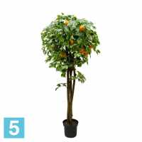 Апельсиновое дерево искусственное Alseed, h-180 см., латекс