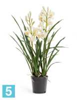Искусственный цветок в горшке Орхидея Цимбидиум белая куст (в кашпо) 2 ветки TREEZ Collection