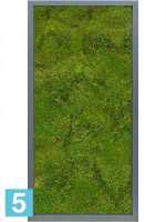 Картина из искусственного мха satin gloss 100% плоский мох l-80 w-40 h-6 см в #REGION_NAME_DECLINE_PP#