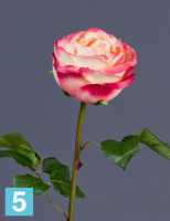 Искусственный цветок для декора Роза Джема нежно-персиковая с малиновым TREEZ Collection в #REGION_NAME_DECLINE_PP#