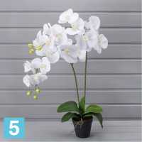 Орхидея искусственная Alseed, h-60 см., латекс, в техническом горшке, d-11 см., белая в #REGION_NAME_DECLINE_PP#
