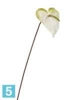Искусственный цветок для декора Антуриум бело-зеленый TREEZ Collection в #REGION_NAME_DECLINE_PP#