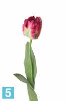 Искусственный цветок для декора Тюльпан попугай 5dx62h темно-розовый (2 листа) в #REGION_NAME_DECLINE_PP#