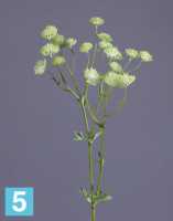Искусственный цветок для декора Астранция бело-зеленая TREEZ Collection в #REGION_NAME_DECLINE_PP#