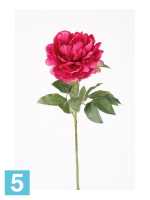 Искусственный цветок для декора Пион 16dx65h темно-розовый в Москве