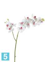 Искусственный цветок для декора Орхидея Фаленопсис белая с роз.сердцевинкой ветвь двойная TREEZ Collection в Москве