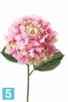 Искусственный цветок для декора Гортензия "IMPERIAL" 20dx68h розово-зеленая (2 листа) в #REGION_NAME_DECLINE_PP#