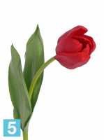 Искусственный цветок для декора Тюльпан Королевский "Royal" Sensitive Botanic 5dx48h красный (2 листа)