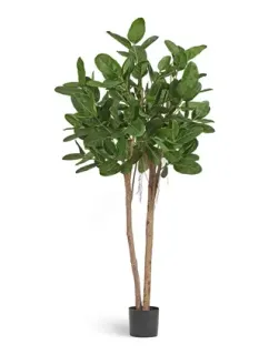 Фикус Одри Бенгальский искусственный TREEZ Collection 200h