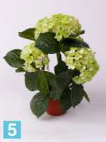 Искусственный цветок в горшке Гортензия Премиум 36h зеленая (в кашпо) в #REGION_NAME_DECLINE_PP#