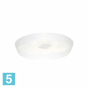 Поддон Lamela Magnolia, жемчужное 12,6-d, 1,8-h