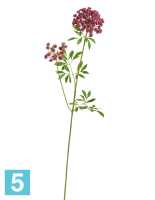 Искусственный цветок для декора Анна Королевская ветвь большая светло-бордовая TREEZ Collection в #REGION_NAME_DECLINE_PP#
