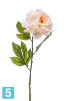 Искусственный цветок для декора Пион распустившийся 14dx77h кремово-розоватый в #REGION_NAME_DECLINE_PP#