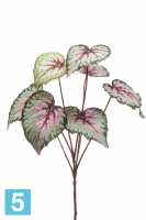 Искусственный цветок для декора Бегония крупнолистная х7 куст зелено-розовый h60см в #REGION_NAME_DECLINE_PP#