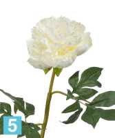 Искусственный цветок для декора Пион махровый белый TREEZ Collection в #REGION_NAME_DECLINE_PP#