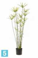 Искусственная трава высокая для декора Циперус 120h (куст в кашпо) в #REGION_NAME_DECLINE_PP#