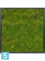 Картина из искусственного мха satin gloss 100% плоский мох темный фон l-80 w-80 h-6 см в Москве
