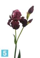 Искусственный цветок для декора Ирис бургундия TREEZ Collection в #REGION_NAME_DECLINE_PP#