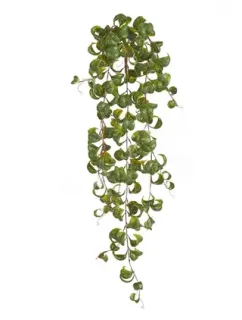 Фикус искусственный TREEZ Collection Бенджамина Барок ампельный 60h