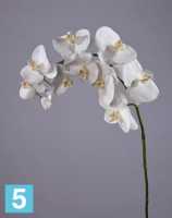 Искусственный цветок для декора Орхидея Фаленопсис белая 100h TREEZ Collection в Москве