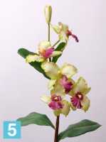 Искусственный цветок для декора Орхидея Цимбидиум Sensitive Botanic 96h салатовый (6 цветков + 4 листа) в #REGION_NAME_DECLINE_PP#