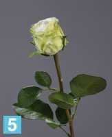 Искусственный цветок для декора Роза Эсперанса Мидл бело-зеленая TREEZ Collection в Москве