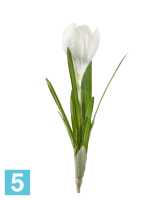 Искусственный цветок для декора Крокус белый 20 см TREEZ Collection