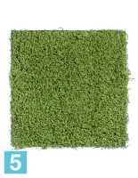 Искусственный мох рясковый светло-зеленый (полотно) квадрат TREEZ Collection в #REGION_NAME_DECLINE_PP#