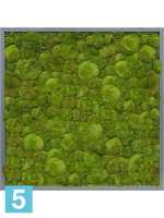Картина из искусственного мха атласный блеск 100% шаровый мох серый фон l-80 w-80 h-6 см в Москве
