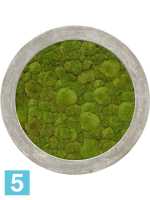 Картина из искусственного мха polystone raw grey 100% шар мох d-80 h-5 см в Москве