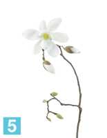 Искусственный цветок для декора Магнолия белая ветвь TREEZ Collection