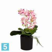 Орхидея искусственная Alseed, розовая, h-26 см. в интерьерном кашпо, d-15 см. в #REGION_NAME_DECLINE_PP#