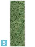 Картина из искусственного мха алюминий 100% олений мох (мох зеленый) l-120 w-40 h-6 см в Москве