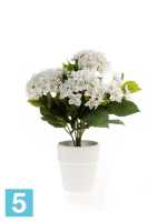 Искусственный цветок для декора Гортензия белая х7 куст 37h в #REGION_NAME_DECLINE_PP#