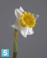 Искусственный цветок для декора Нарцисс бело-желтый 55 см TREEZ Collection в Москве