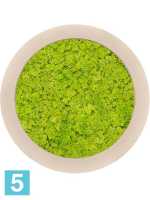 Картина из искусственного мха polystone натуральный 100% олений мох (весенний зеленый) d-60 h-5 см в Москве