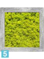Картина из искусственного мха polystone raw grey 100% олений мох (весенний зеленый) l-70 w-70 h-5 см в Москве