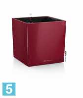 Кашпо с автополивом Lechuza Cube, красное 50-l, 50-w, 50-h
