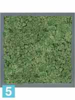 Картина из искусственного мха атласный блеск 100% олений мох (мох зеленый) светлый фон l-40 w-40 h-6 см в Москве