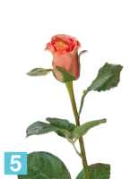 Искусственный цветок для декора Роза Анабель персик-роз TREEZ Collection в #REGION_NAME_DECLINE_PP#