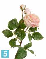 Искусственный цветок для декора Роза Дэвид Остин Мидл ветвь кремово-розовая со светло-лаймовым TREEZ Collection в #REGION_NAME_DECLINE_PP#