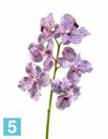 Искусственный цветок для декора Орхидея Ванда бело-фиолетовая TREEZ Collection