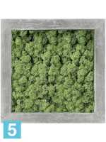 Картина из искусственного мха polystone raw grey 100% олений мох (мох зеленый) l-50 w-50 h-5 см в #REGION_NAME_DECLINE_PP#
