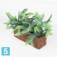 Тисс искусственный Alseed, патина, h-15 в кокос.боксе, 25*8*8