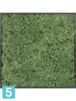 Картина из искусственного мха атласный блеск 100% олений мох (мох зеленый) темный фон l-80 w-80 h-6 см в Москве